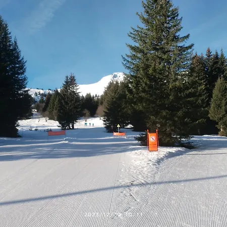 Coeur De Station De Praz De Lys 1500m Appartamento